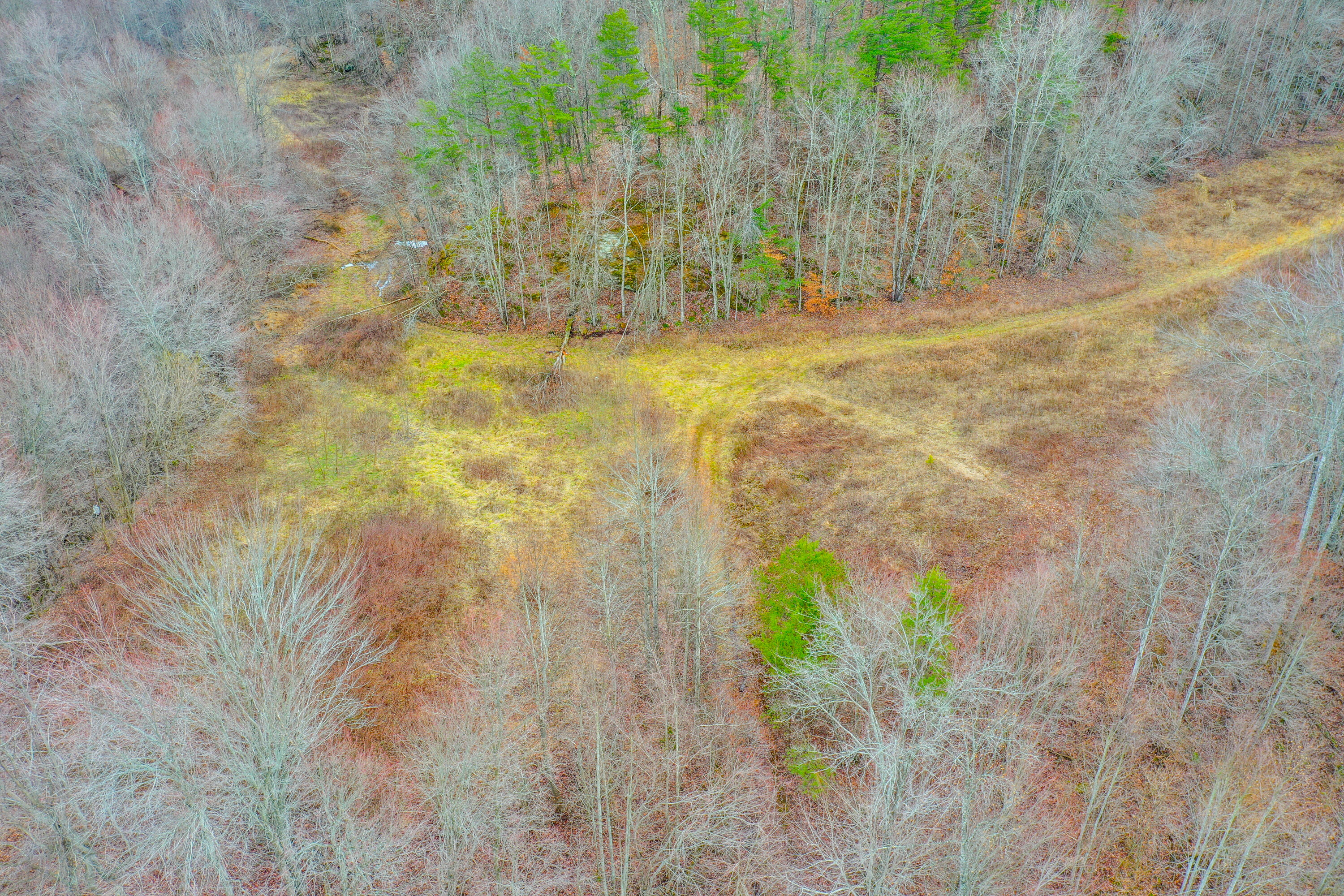 1763 Burnett Road London, KY 40744 - Photo 11 of 92 org_18539c05324b7bb6_1706642508000-HDR