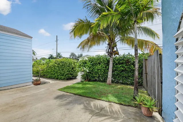 a view of a palm trees