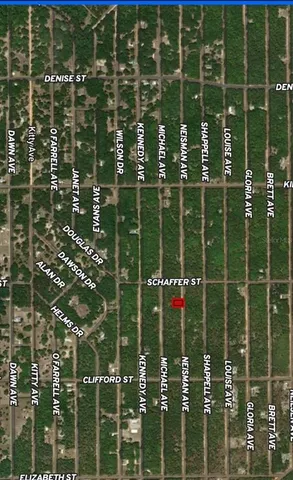 $6,700 | 33 Neisman Avenue, Interlachen, FL 32148