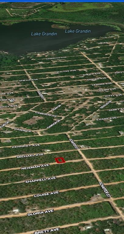 33 Neisman Avenue Interlachen, FL 32148 - Photo 3 of 5