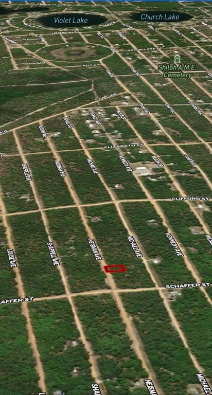 33 Neisman Avenue Interlachen, FL 32148 - Photo 5 of 5