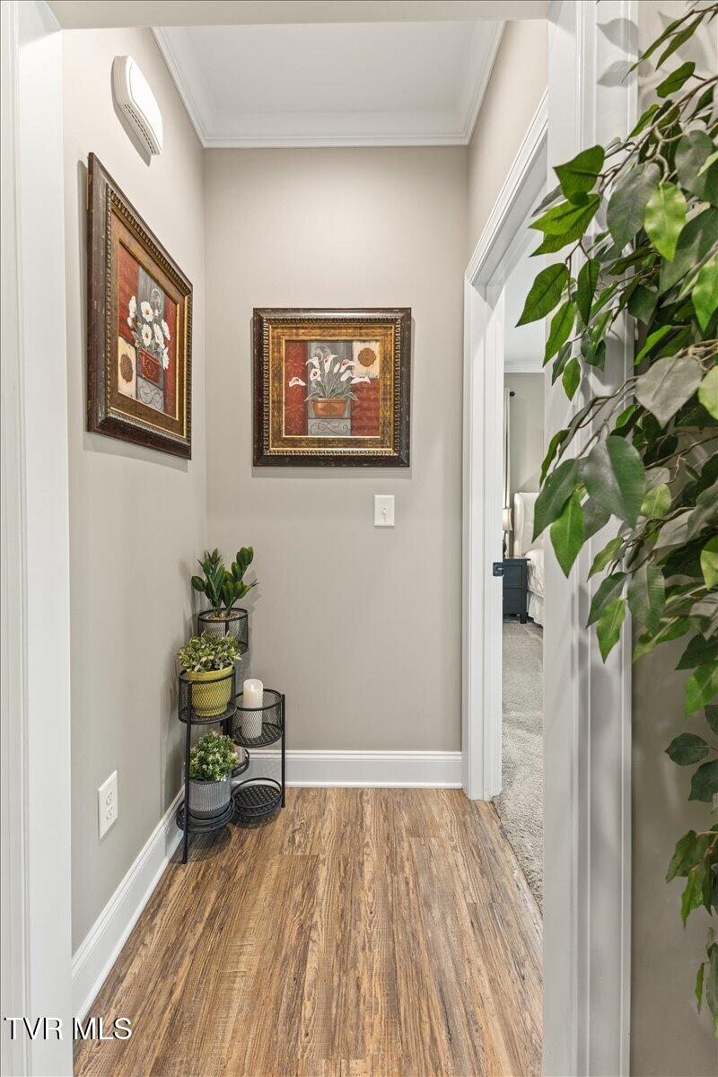563 Mayberry Road Jonesborough, TN 37659 - Photo 21 of 95 20-128A7550