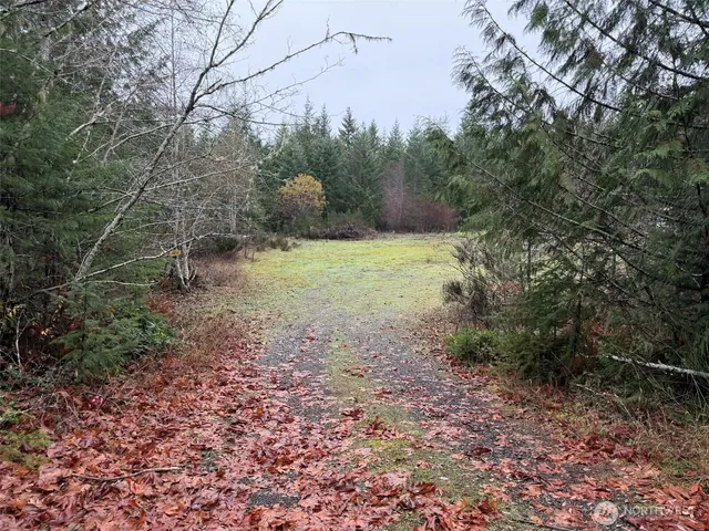 a big yard with lots of green space and trees