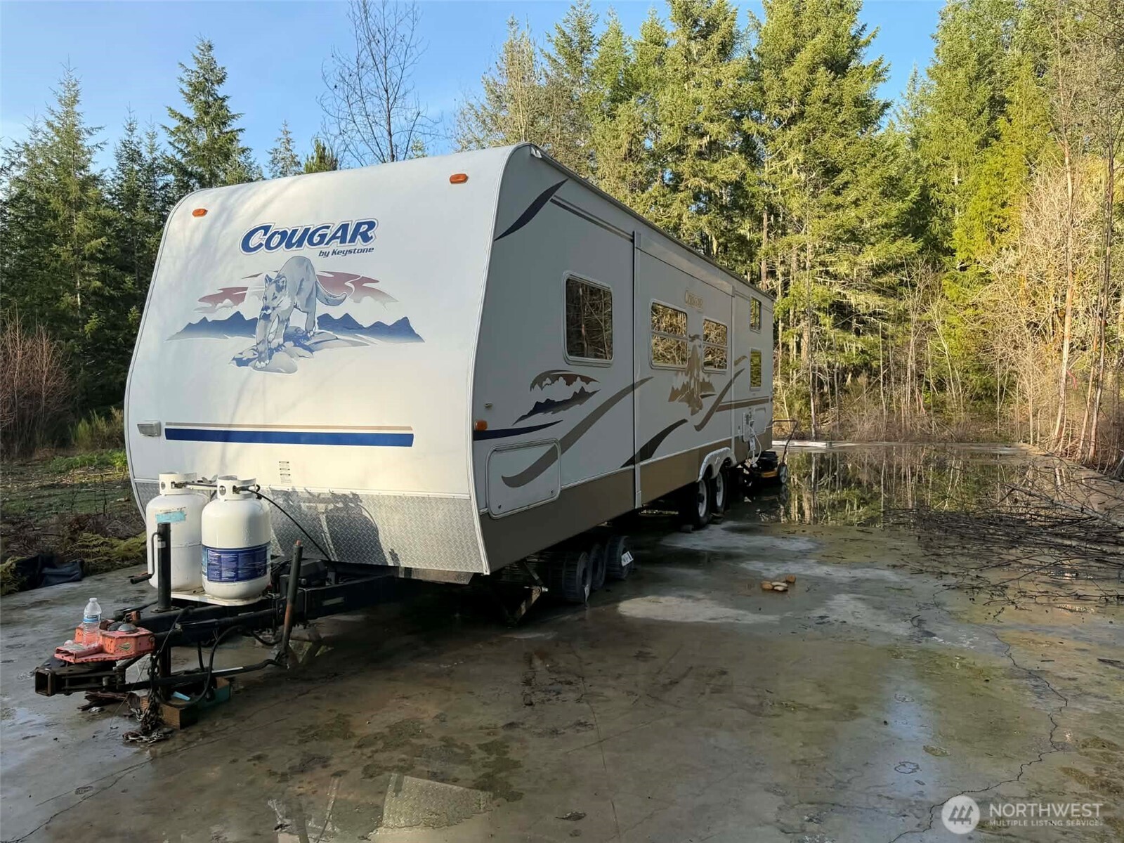 3791 Northeast Sand Hill Road Belfair, WA 98528 - Photo 11 of 13 a view of backyard with cabin