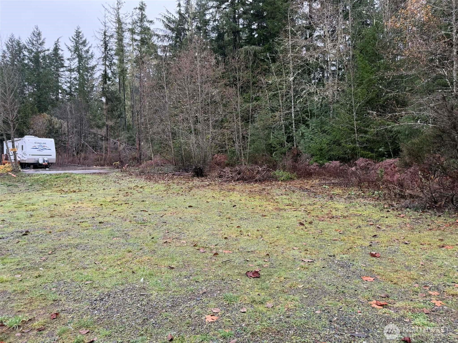 3791 Northeast Sand Hill Road Belfair, WA 98528 - Photo 3 of 13 a view of a backyard with trees