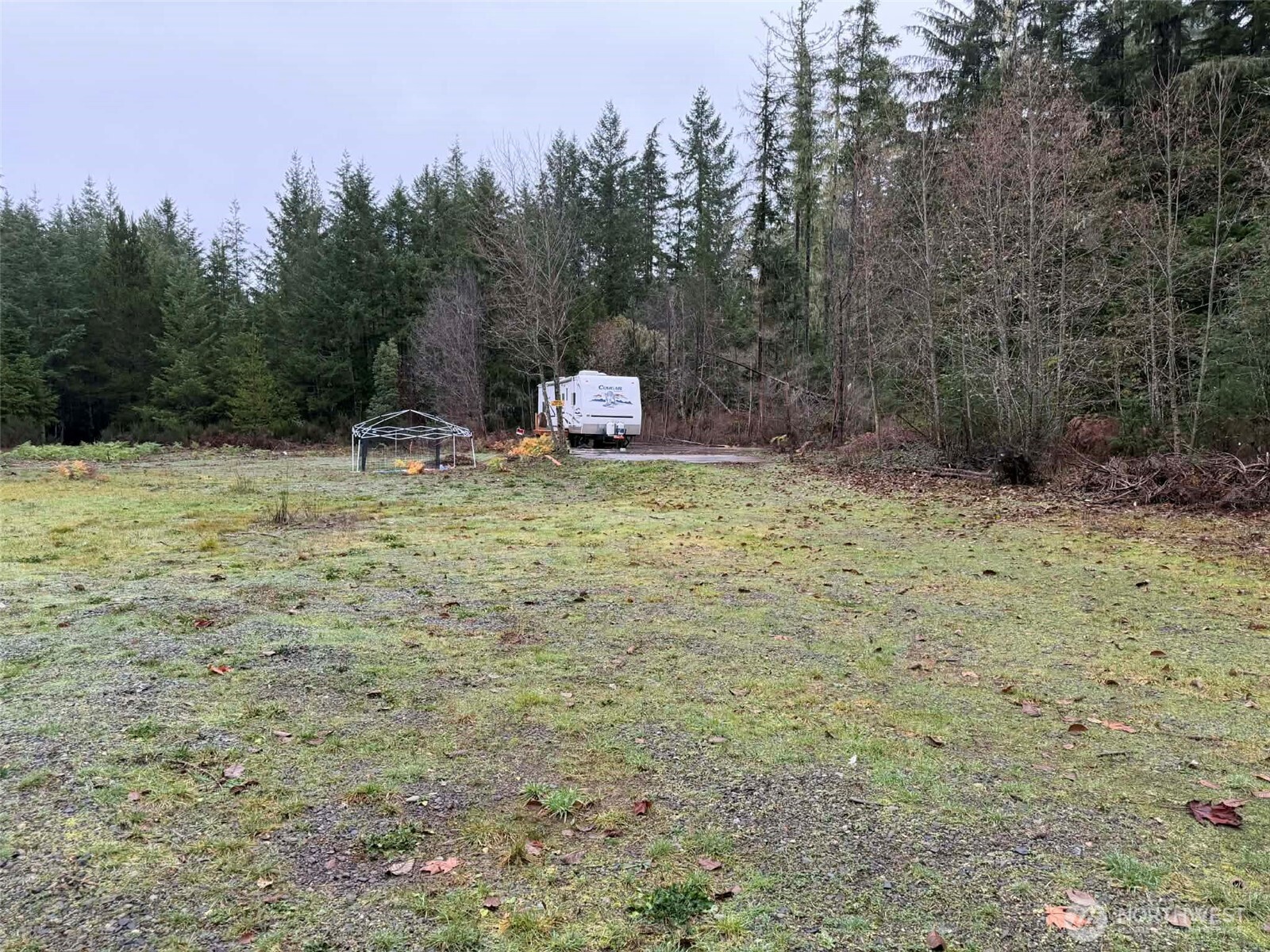 3791 Northeast Sand Hill Road Belfair, WA 98528 - Photo 4 of 13 a backyard of a house with a trees