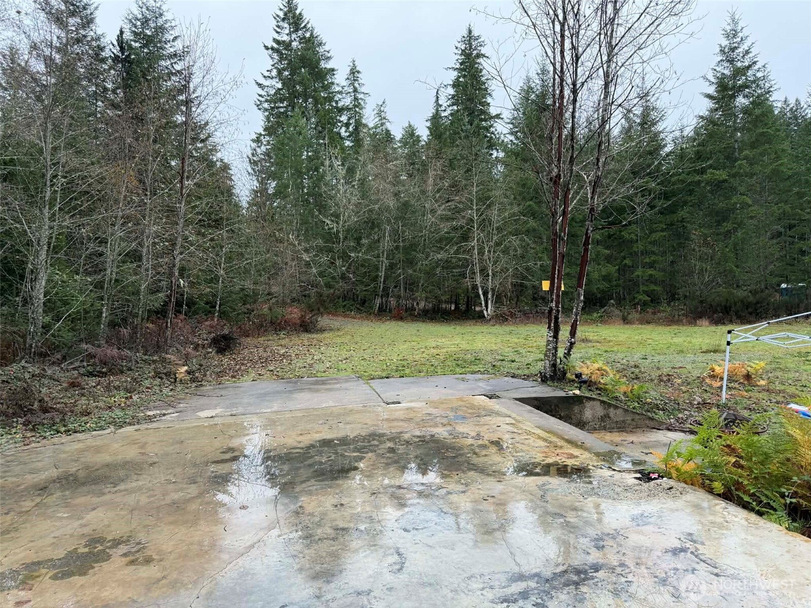 3791 Northeast Sand Hill Road Belfair, WA 98528 - Photo 5 of 13 a view of a basketball area with trees