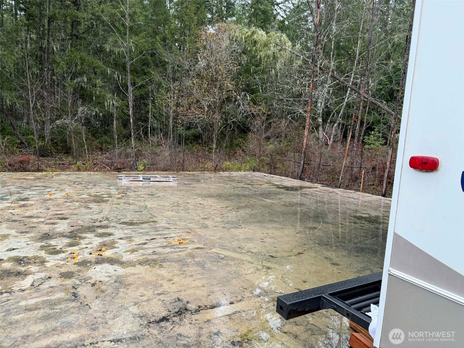 3791 Northeast Sand Hill Road Belfair, WA 98528 - Photo 6 of 13 a view of backyard with green space