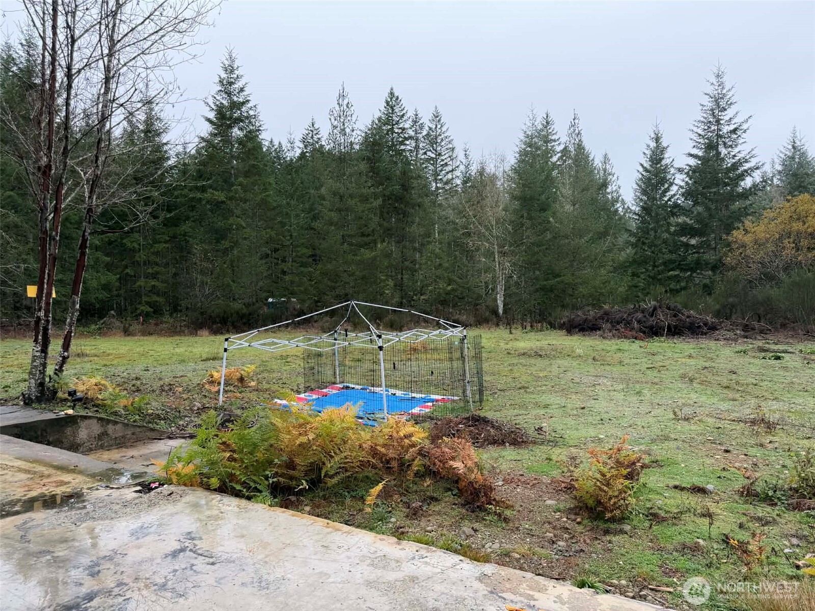 3791 Northeast Sand Hill Road Belfair, WA 98528 - Photo 7 of 13 a view of outdoor space with green field
