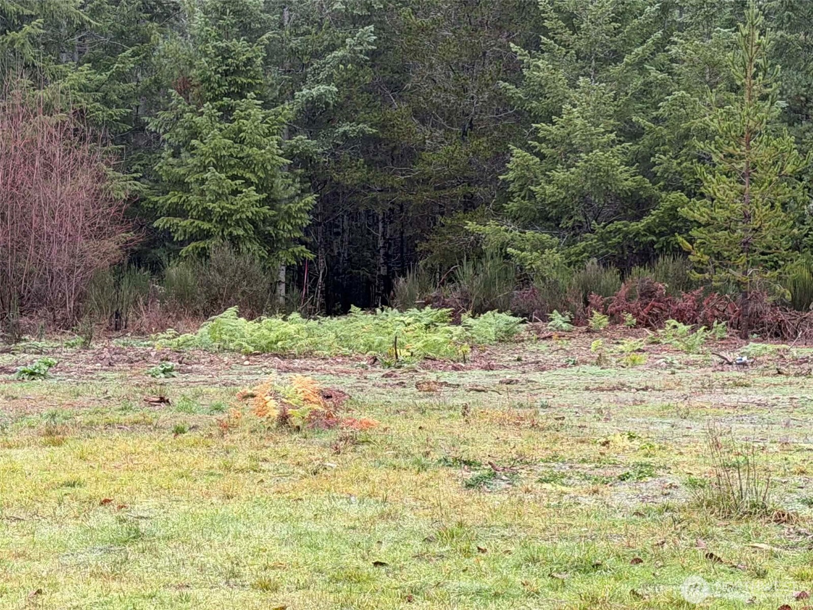 3791 Northeast Sand Hill Road Belfair, WA 98528 - Photo 9 of 13 a view of a backyard of snow