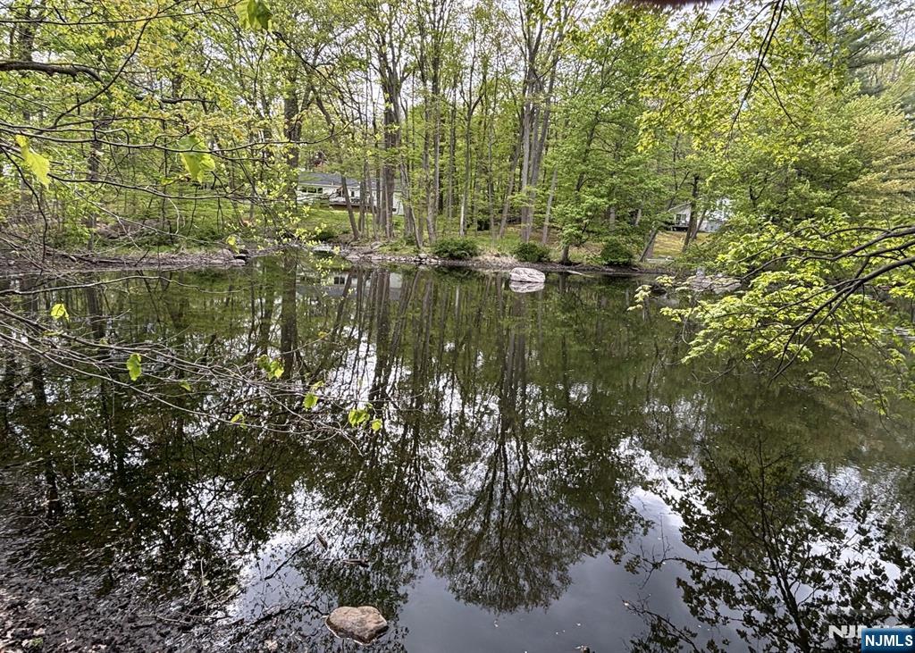 1138 High Mountain Road Franklin Lakes, NJ 07417 - Photo 19 of 41