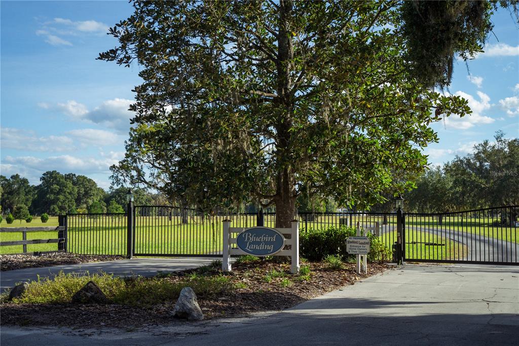 Blue Bird Court Southwest Fort White, FL 32038 - Photo 5 of 15 a view of a park