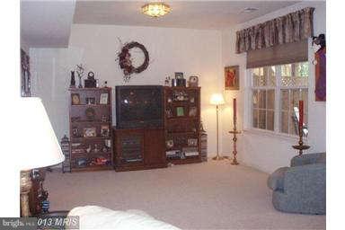 18306 Mill Ridge Terrace Leesburg, VA 20176 - Photo 14 of 21 Basement