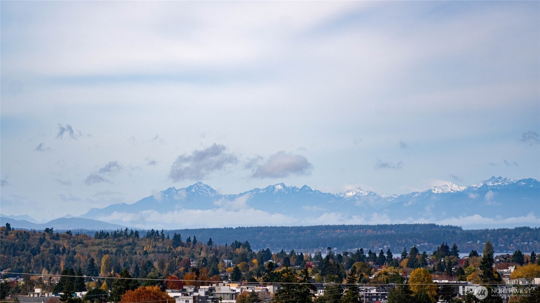 6535 Sycamore Avenue Northwest Seattle, WA 98117 - Photo 22 of 23 a view of a city
