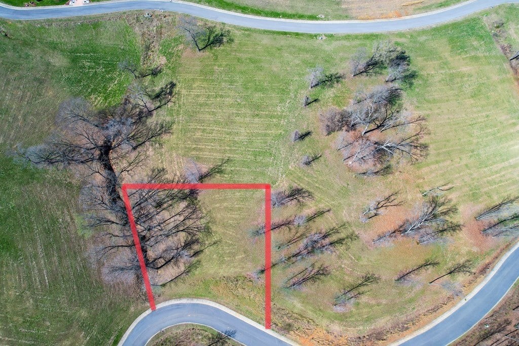 2069 Edgewater Sound Morristown, TN 37814 - Photo 9 of 17 a view of a painting of a tree