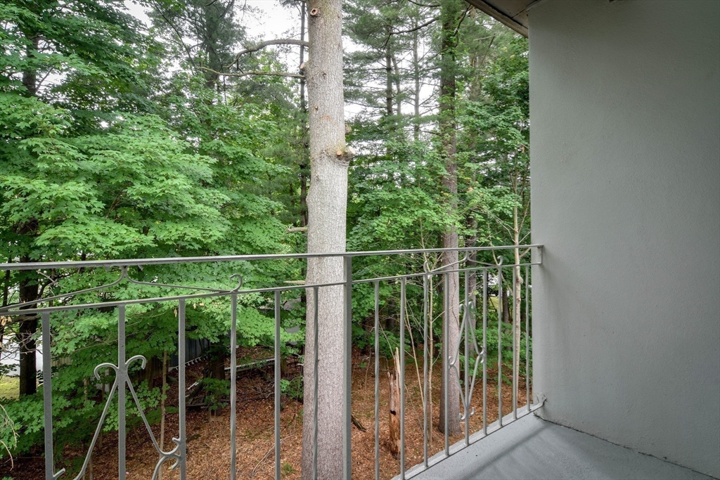 915 Edgell Road, Unit 85 Framingham, MA 01701 - Photo 14 of 16 a view of a fence and trees and plants