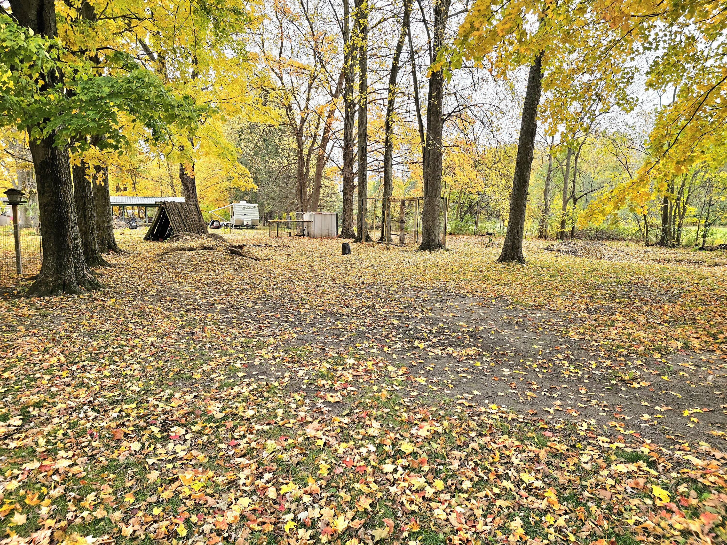 229 Burr Oak Road Burr Oak, MI 49030 - Photo 7 of 25 20251101_134407