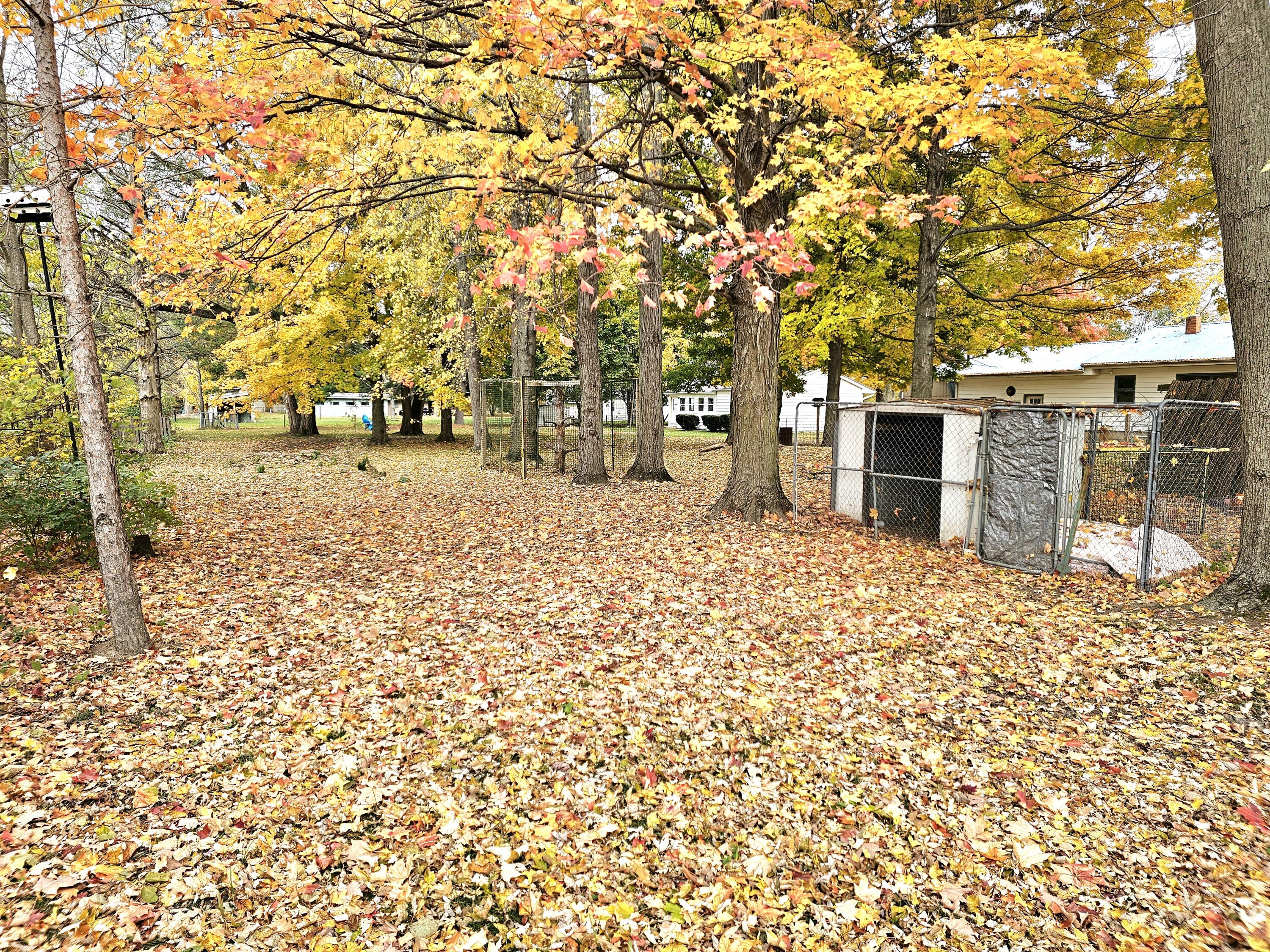 229 Burr Oak Road Burr Oak, MI 49030 - Photo 9 of 25 20251101_134534