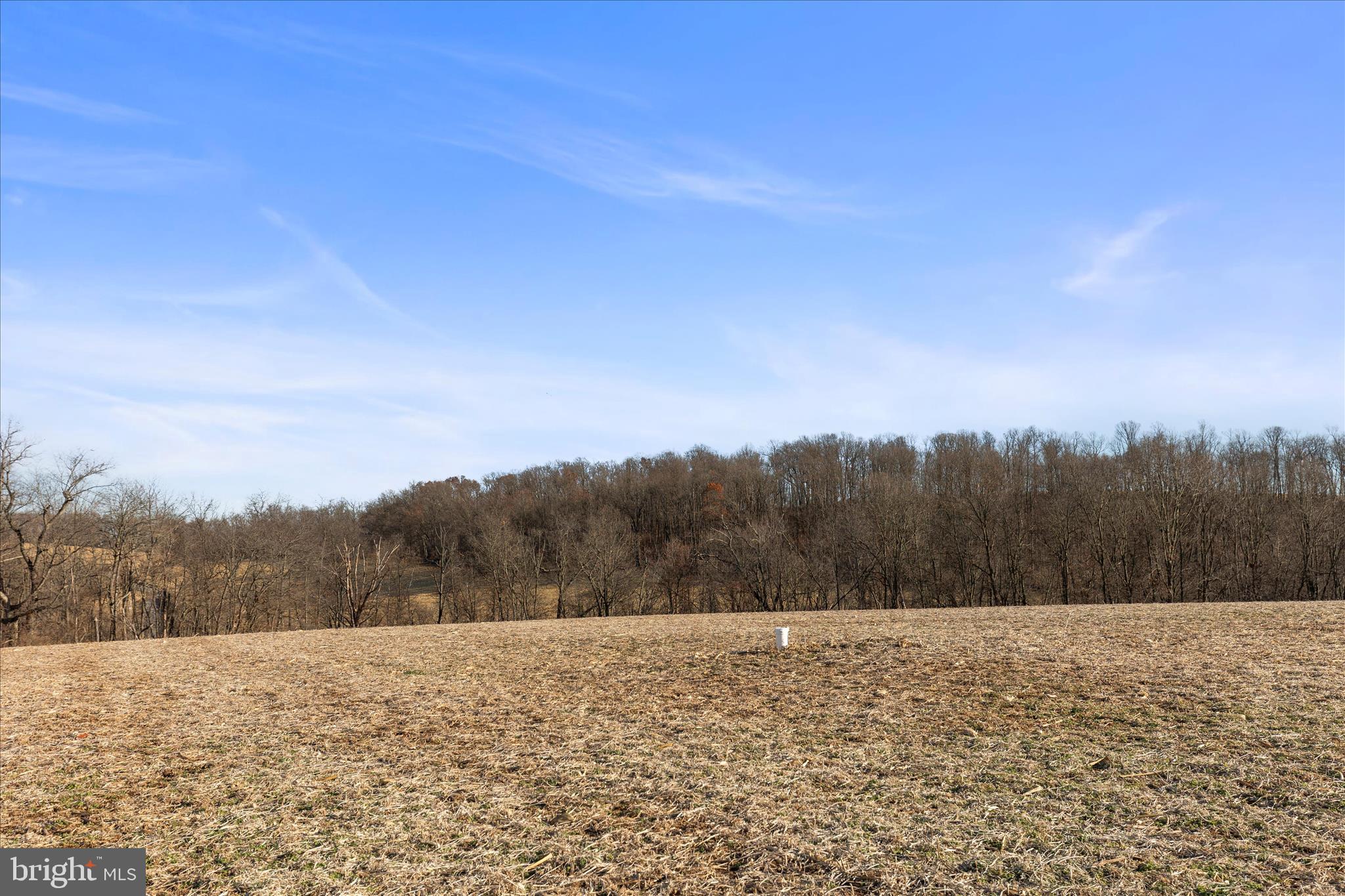 Lot #1 Bowman School Road New Freedom, PA 17349 - Photo 3 of 12 a view of an outdoor space