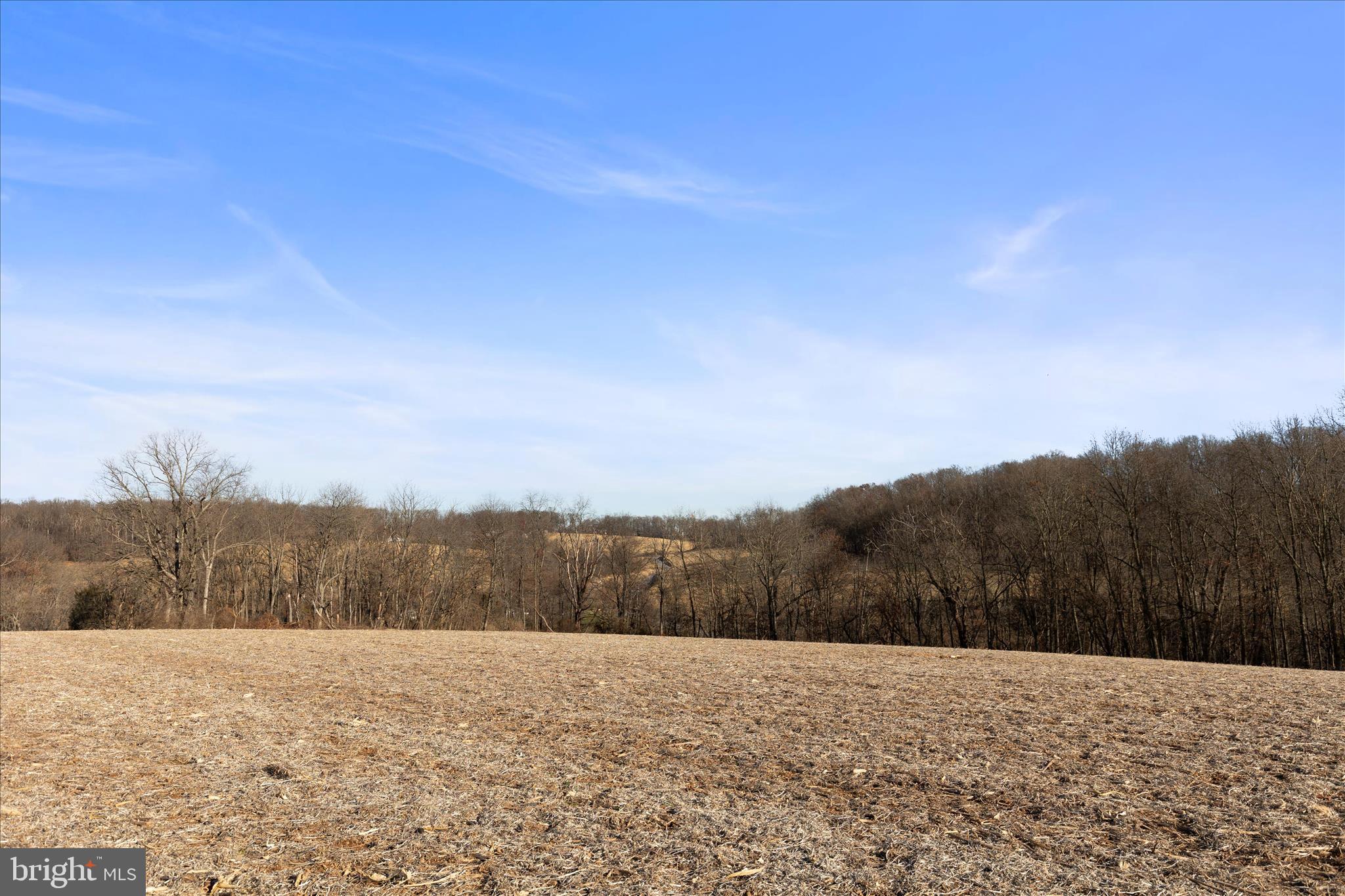 Lot #1 Bowman School Road New Freedom, PA 17349 - Photo 9 of 12 a view of an outdoor space and trees