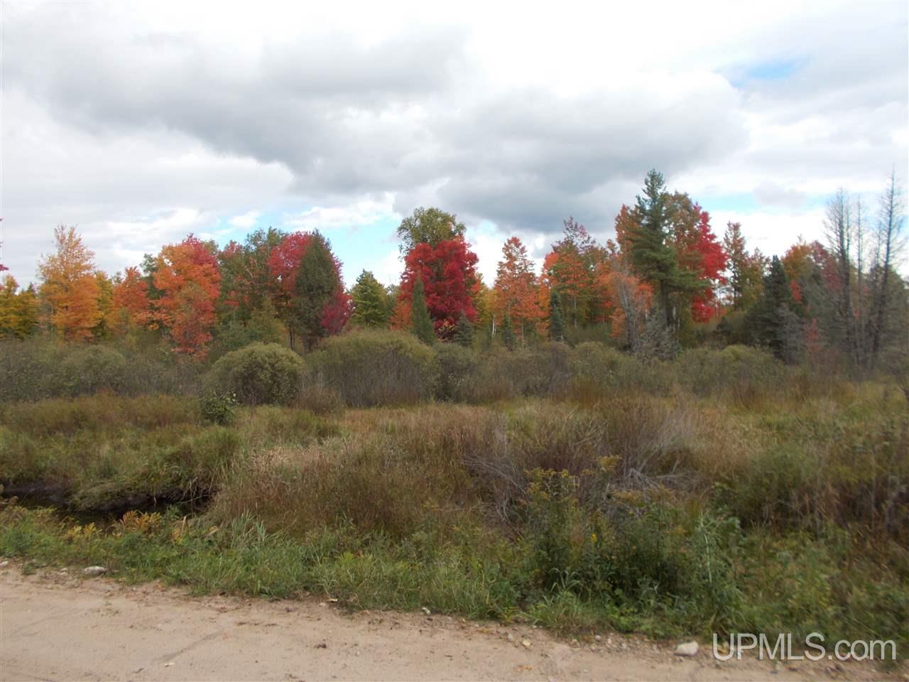 50-acres Camp Nine Road Ralph, MI 49877 - Photo 1 of 12