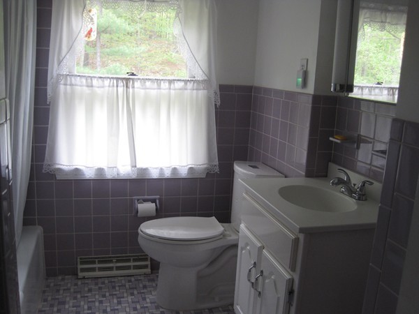 7 Prancing Road Chelmsford, MA 01824 - Photo 11 of 22 a bathroom with a sink a toilet and a window