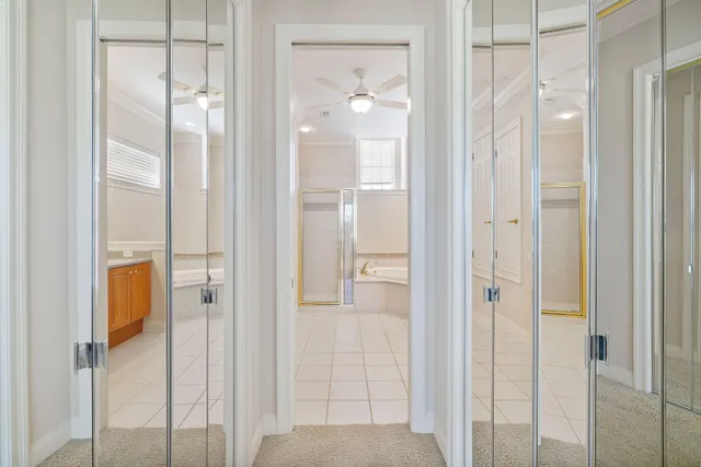 a view of road with large trees