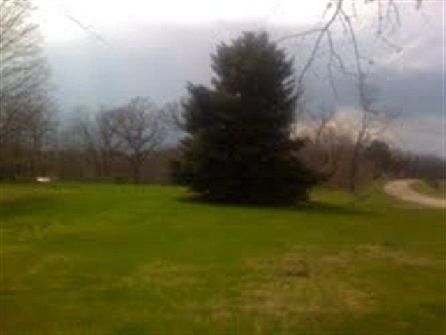 595 North Fork Road Metamora, IL 61548 - Photo 3 of 6