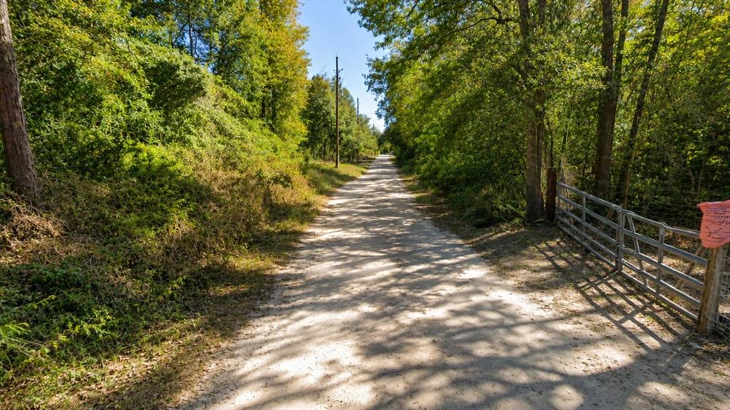 Lot 7 Dryden Street Trinity, TX 75862 - Photo 2 of 6 a view of a yard with plants and large trees