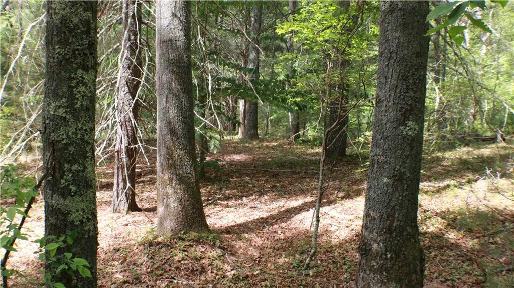 26 Pasquiset Trail Charlestown, RI 02813 - Photo 1 of 10