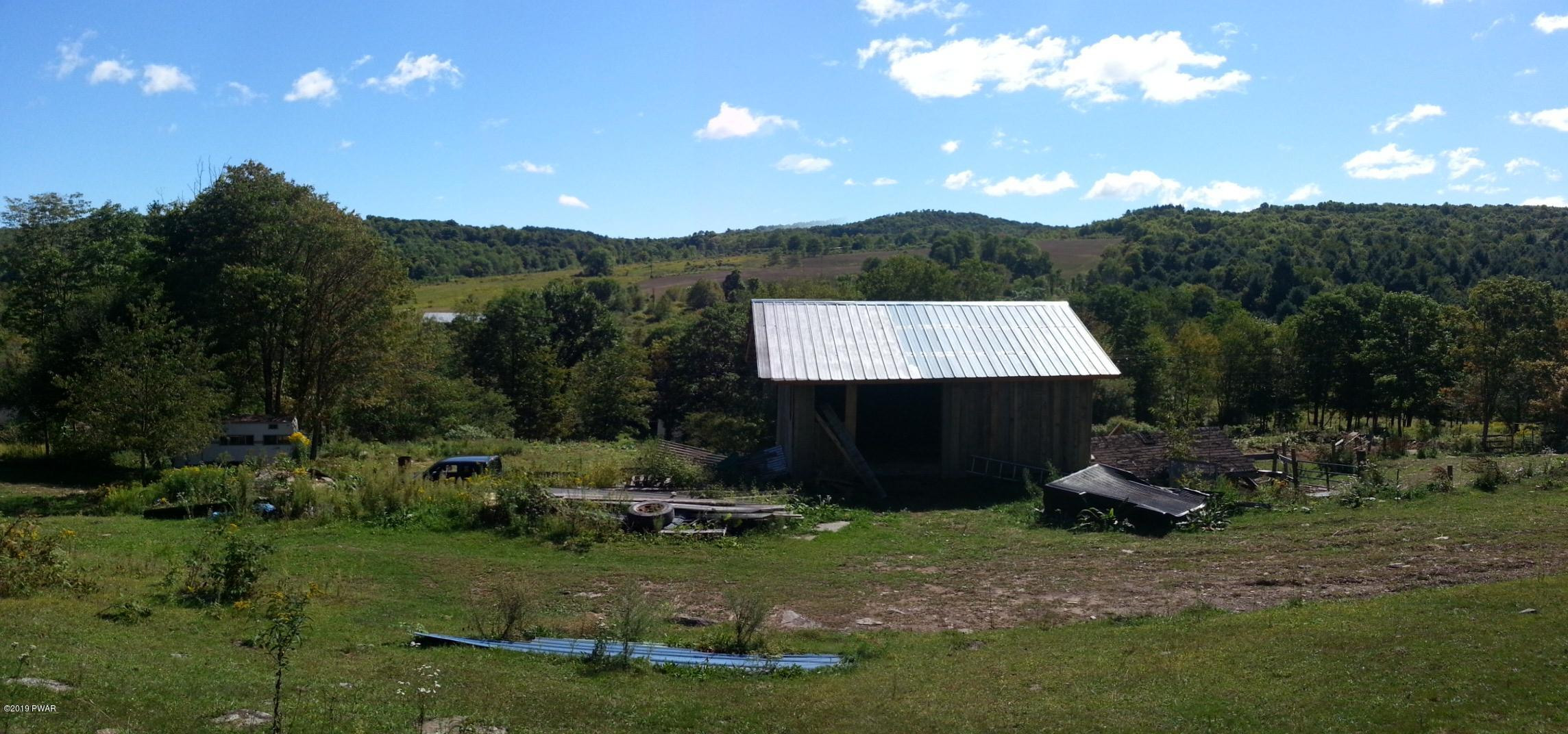 1207 Pine Mill Road Equinunk, PA 18417 - Photo 2 of 21
