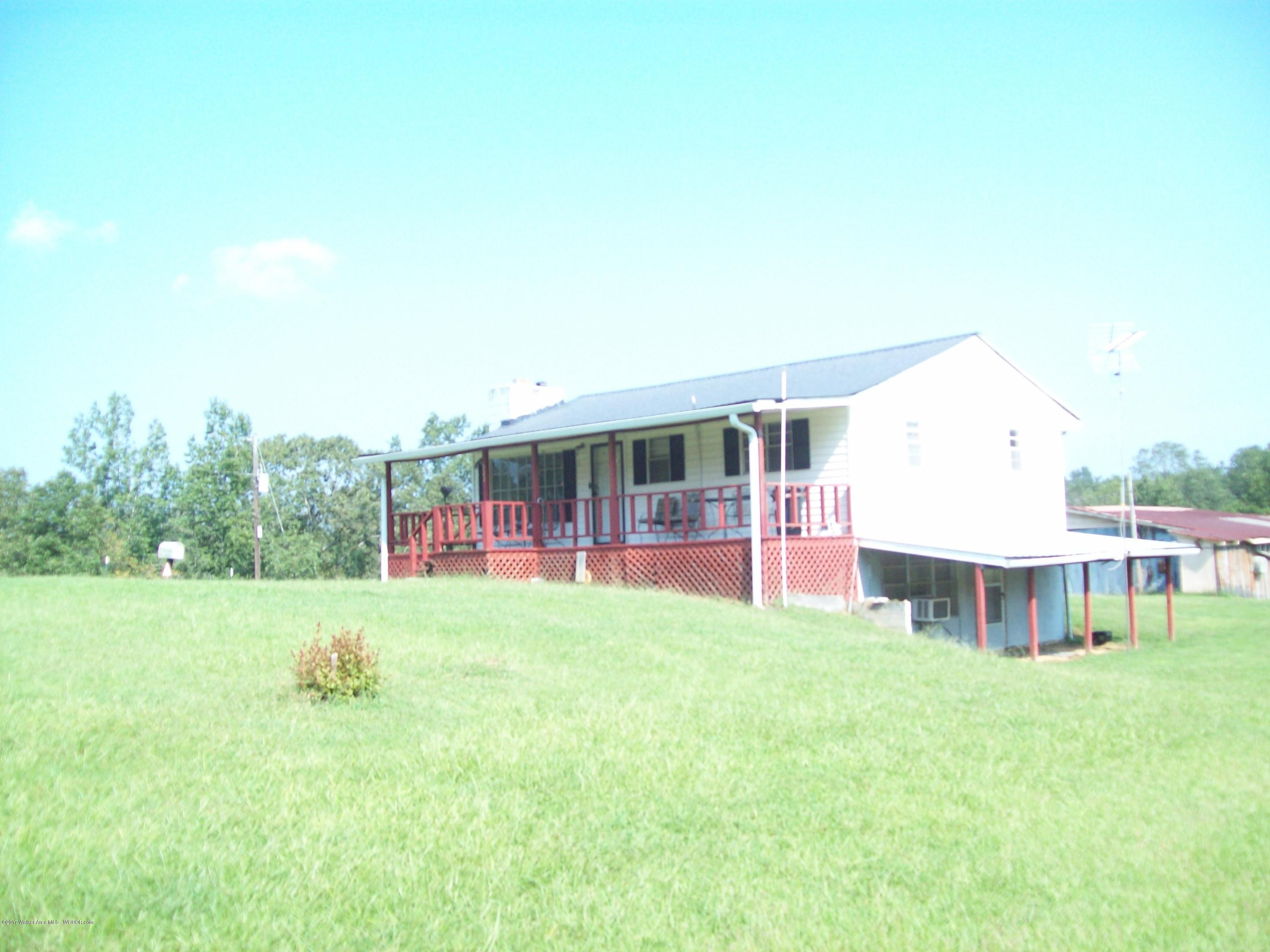 222 Dill Road Jasper, AL 35504 - Photo 6 of 28 Gallery Image 6