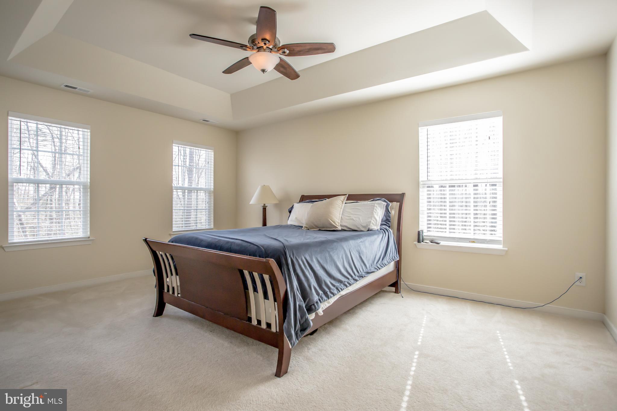12450 Elk Run Church Road Midland, VA 22728 - Photo 17 of 41 Large Master Bedroom with Tray Ceiling