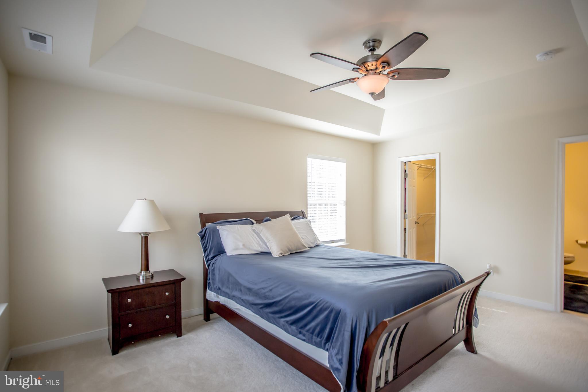 12450 Elk Run Church Road Midland, VA 22728 - Photo 18 of 41 Large Master Bedroom with Tray Ceiling