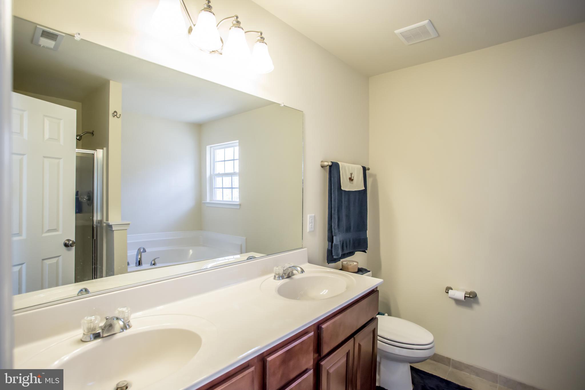 12450 Elk Run Church Road Midland, VA 22728 - Photo 20 of 41 Dual sink vanity