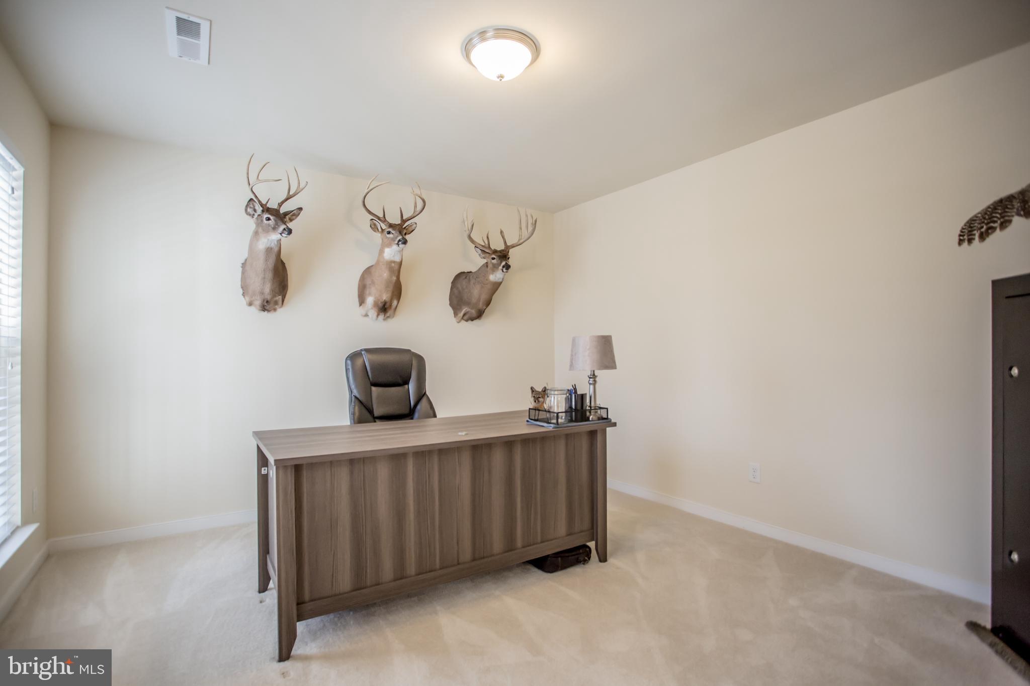 12450 Elk Run Church Road Midland, VA 22728 - Photo 5 of 41 Large Main Level Office Space