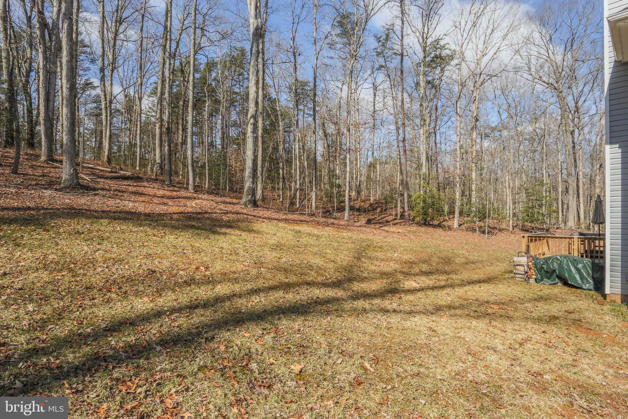 12450 Elk Run Church Road Midland, VA 22728 - Photo 40 of 41 Open lot with privacy