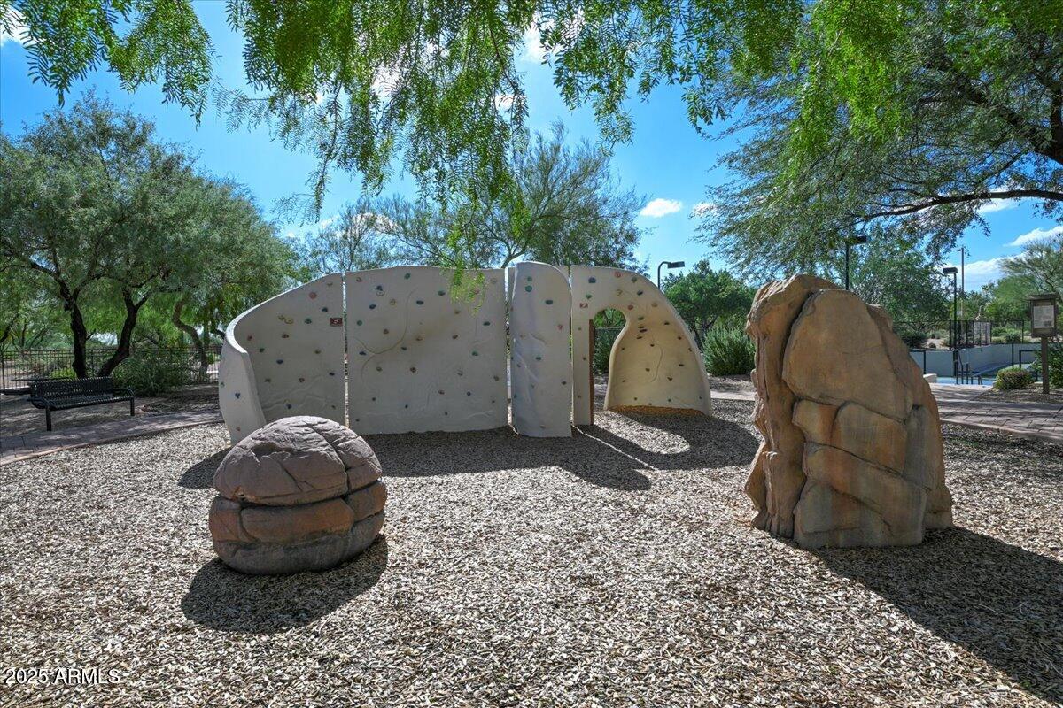 3935 East Rough Rider Road, Unit 1191 Phoenix, AZ 85050 - Photo 26 of 32 a view of a backyard