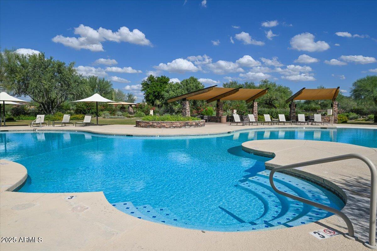 3935 East Rough Rider Road, Unit 1191 Phoenix, AZ 85050 - Photo 29 of 32 a view of a swimming pool with lawn chairs and a potted plants