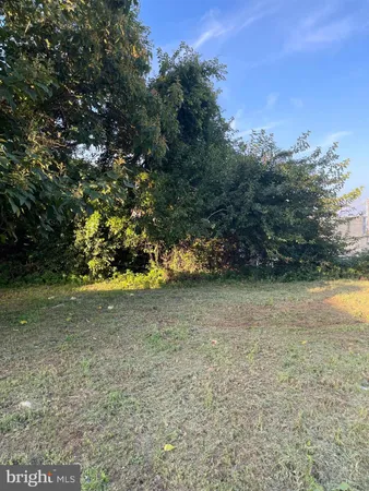 a view of a yard
