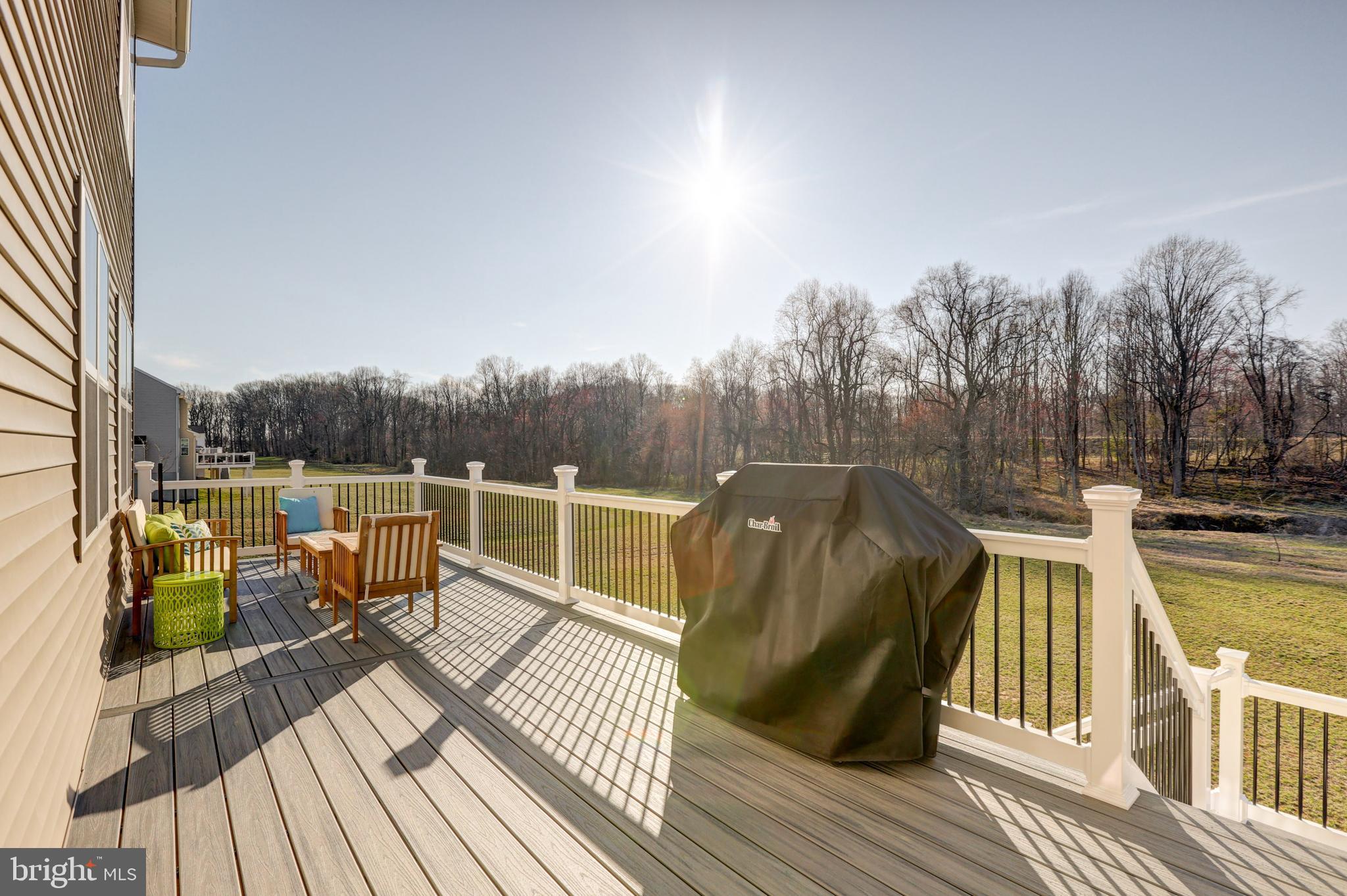 1136 Cardigan Road Middletown, DE 19709 - Photo 21 of 90 Deck