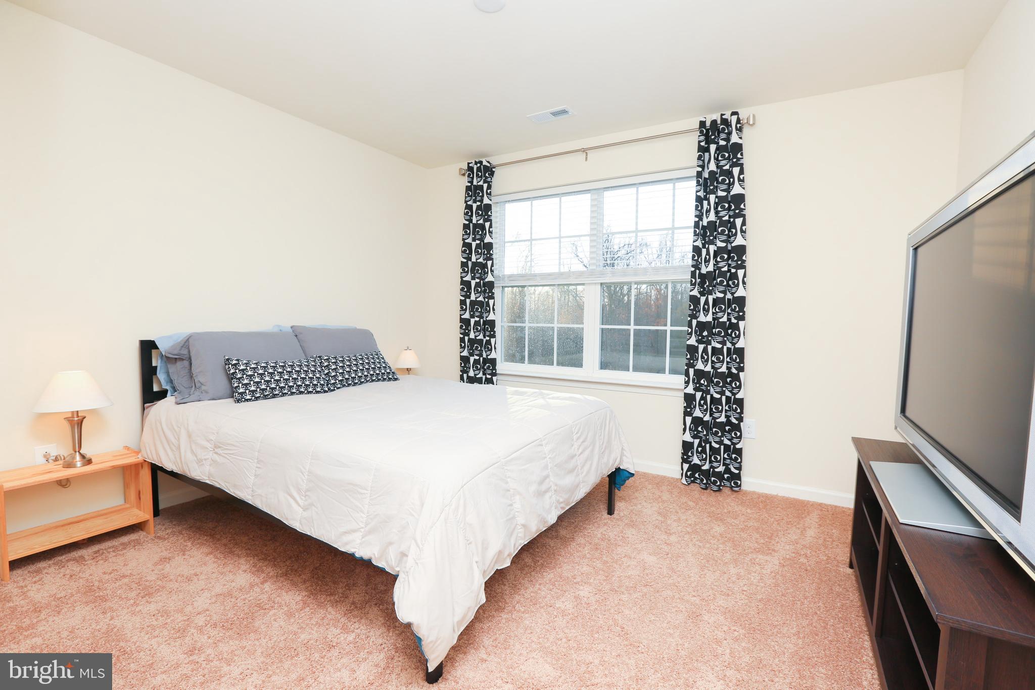 1136 Cardigan Road Middletown, DE 19709 - Photo 57 of 90 Second Bedroom