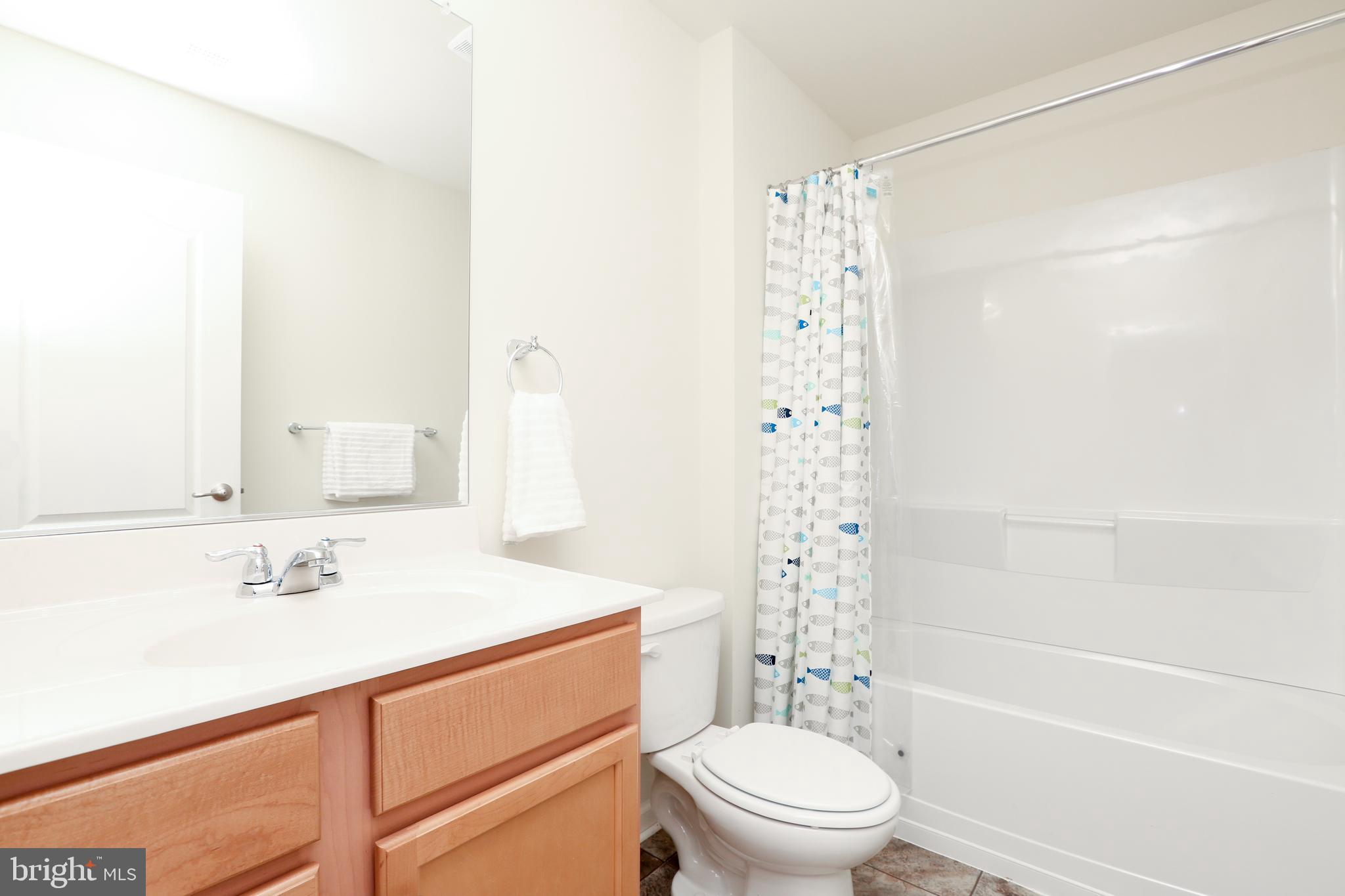 1136 Cardigan Road Middletown, DE 19709 - Photo 74 of 90 Princess Bathroom