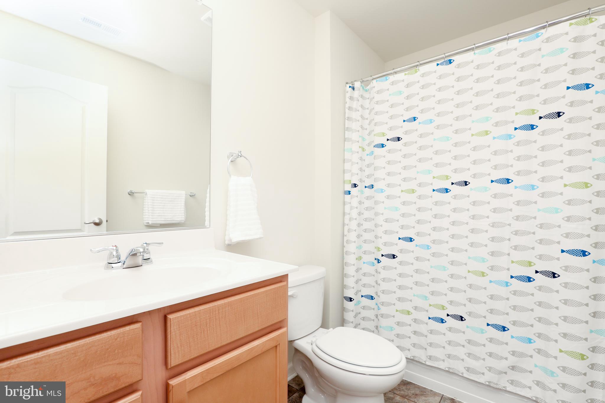 1136 Cardigan Road Middletown, DE 19709 - Photo 75 of 90 Princess Bathroom