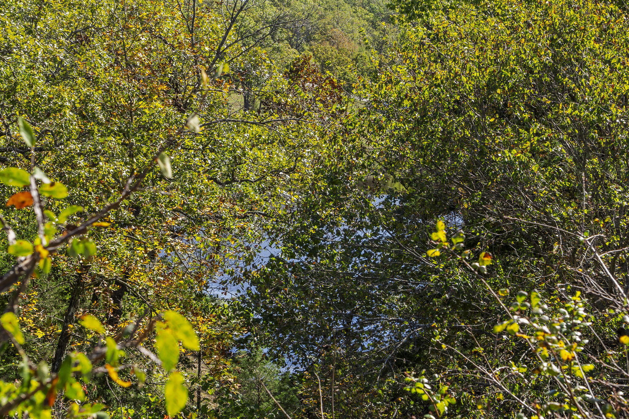 Lot 312 Weatherstone Drive Reeds Spring, MO 65737 - Photo 3 of 49 Table Rock Lakefront Build Site