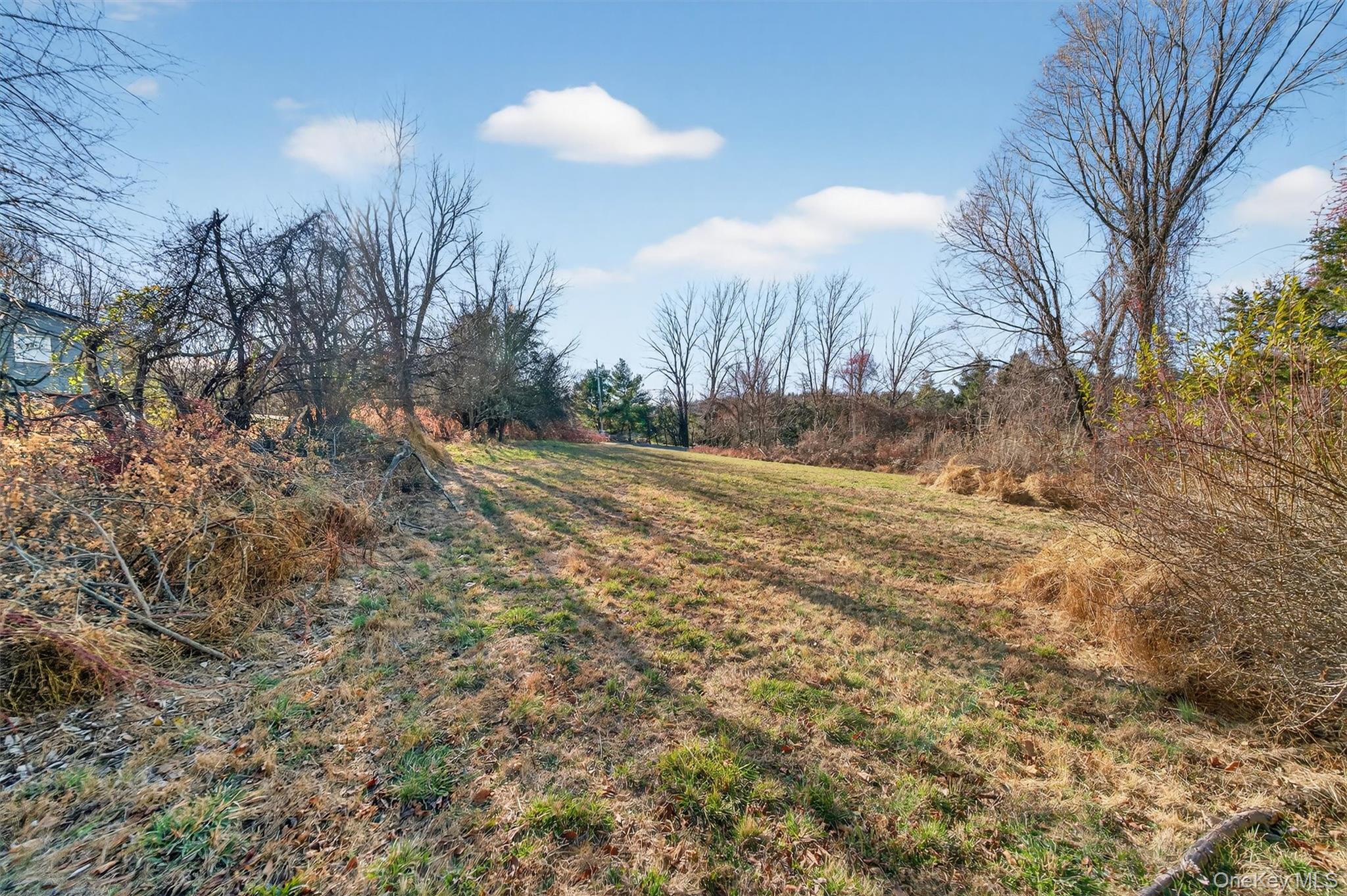 7 Edenville Road Warwick, NY 10990 - Photo 37 of 38 a view of a yard with trees