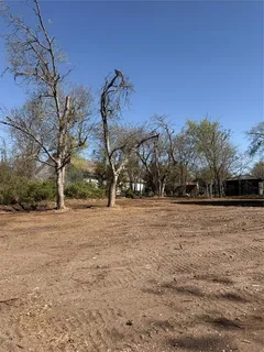 a view of dirt field and trees