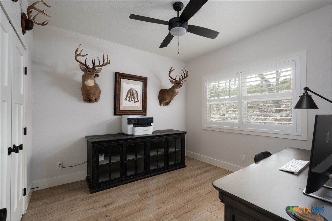 1382 Cottonwood Road Fischer, TX 78623 - Photo 25 of 33