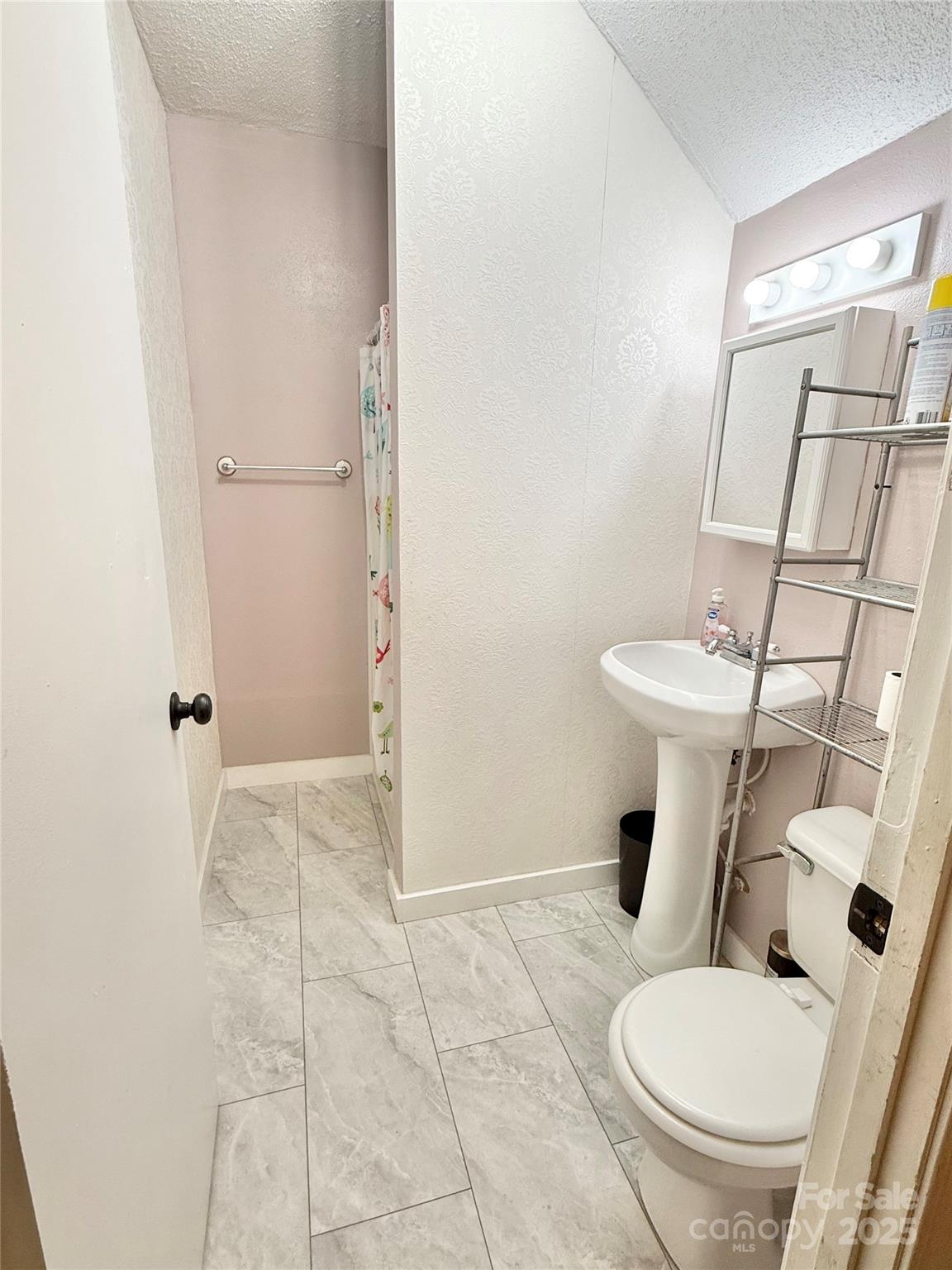 117 Pine Street Chester, SC 29706 - Photo 12 of 19 a white toilet sitting next to a bathroom sink and a mirror