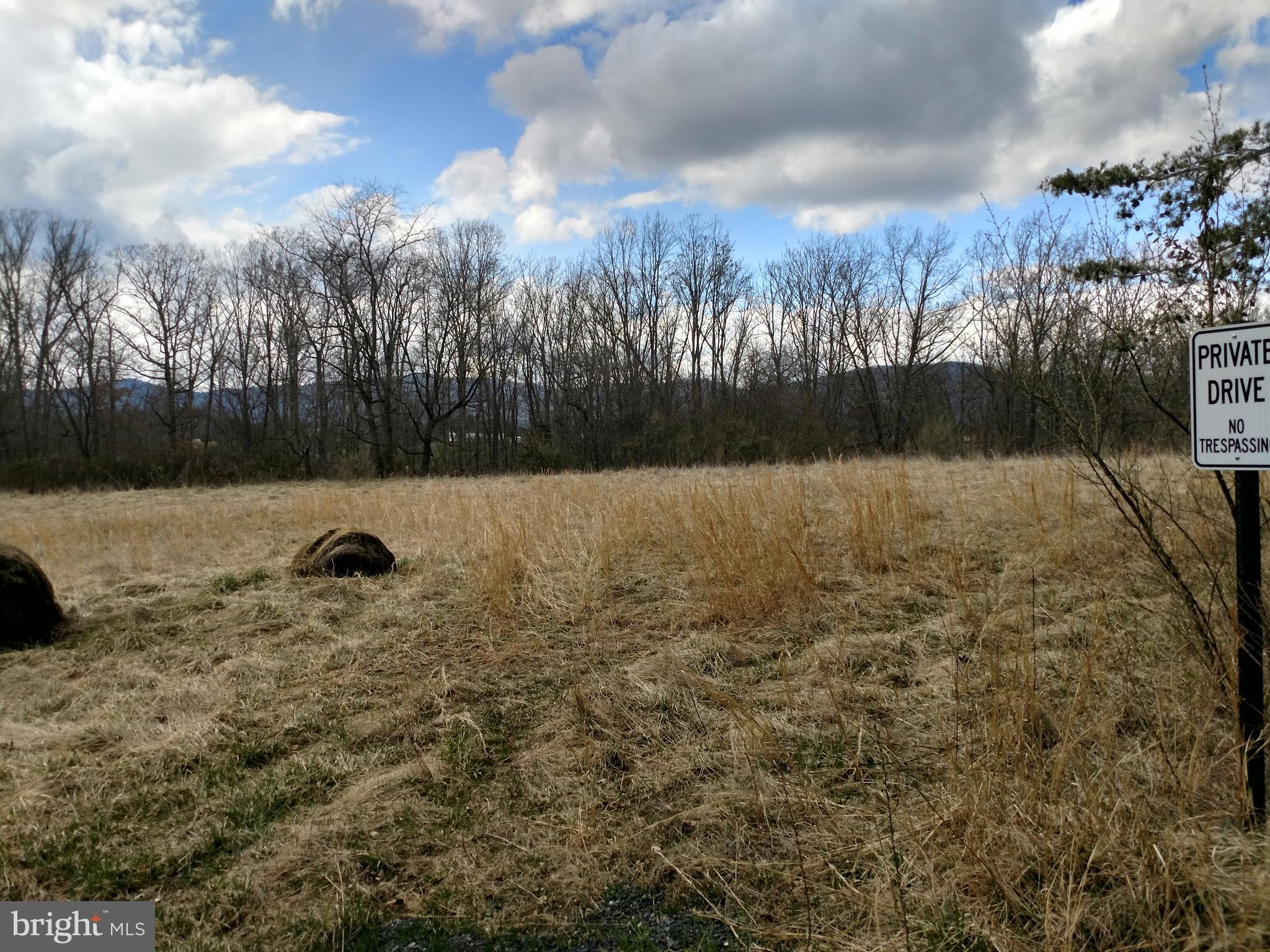 Lot 5 Martin Road Front Royal, VA 22630 - Photo 3 of 6